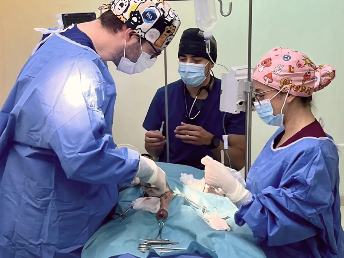 Equipo quirúrgico de COV Guadalajara operando a un paciente en el quirófano durante una cirugía oncológica