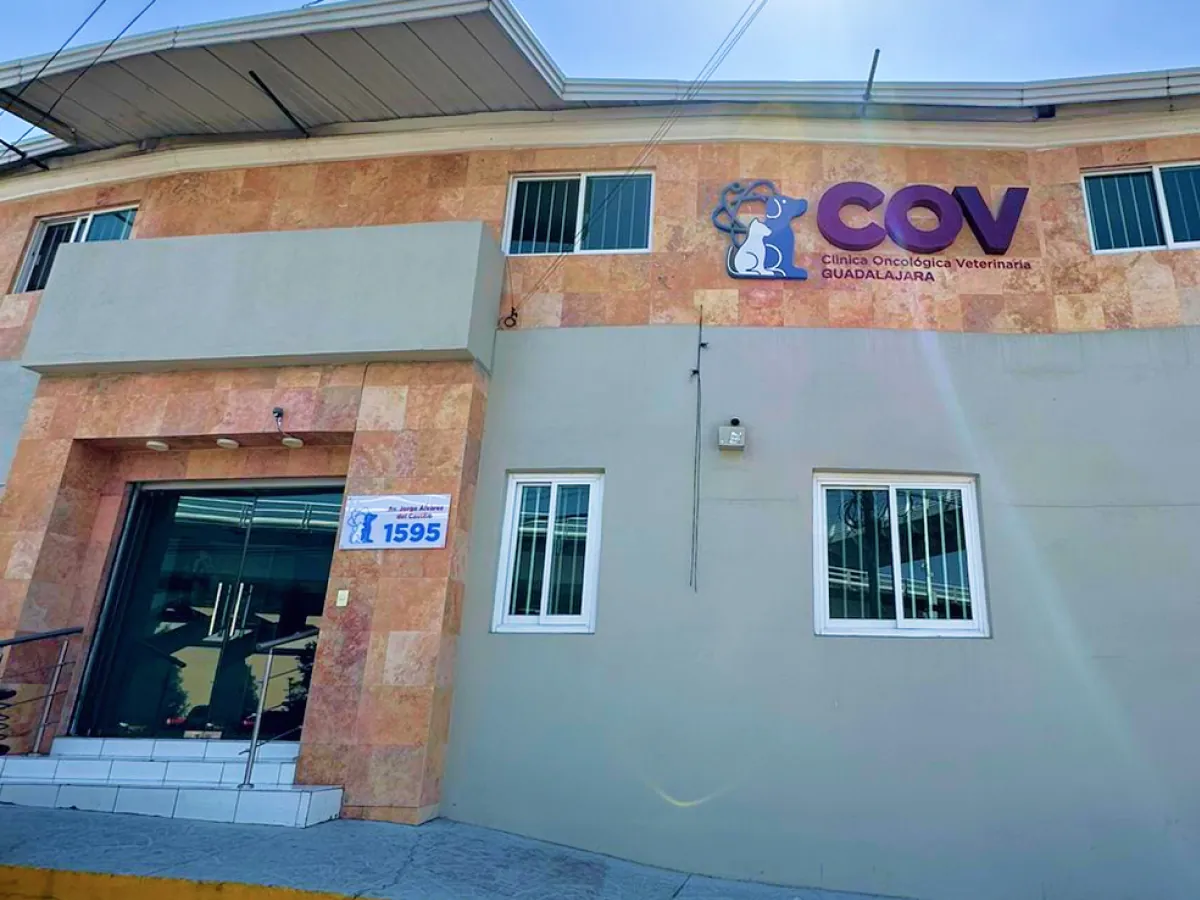 Fachada de COV Guadalajara sobre Av. Jorge Álvarez del Castillo 1595, con el letrero de la clínica y el número visible
