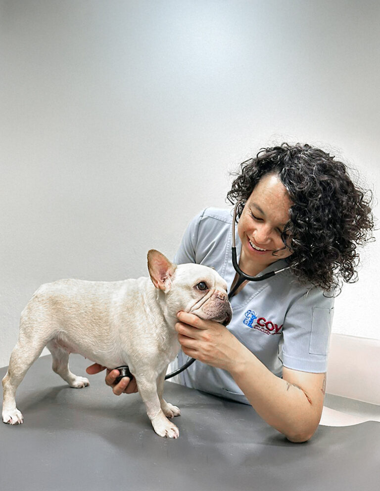 La Dra. Monserrat Ramirez Morales durante una consulta en la Cliníca Oncológica Veterinaria Guadalajara.