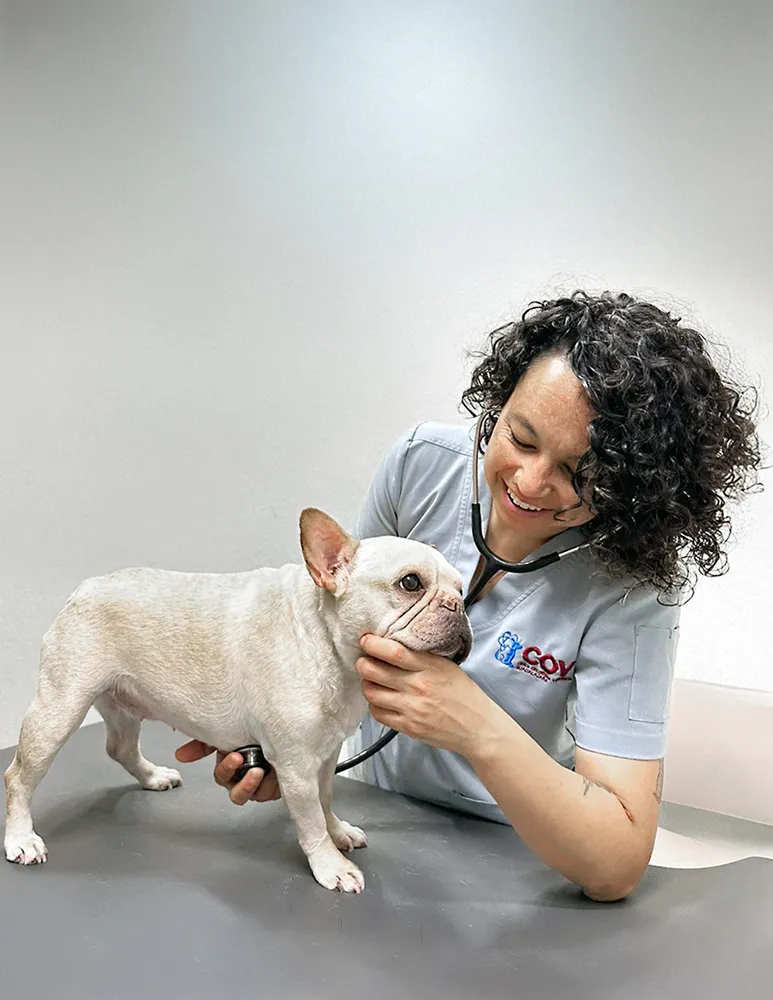 La Dra. Monserrat Ramirez Morales durante una consulta en la Cliníca Oncológica Veterinaria Guadalajara.