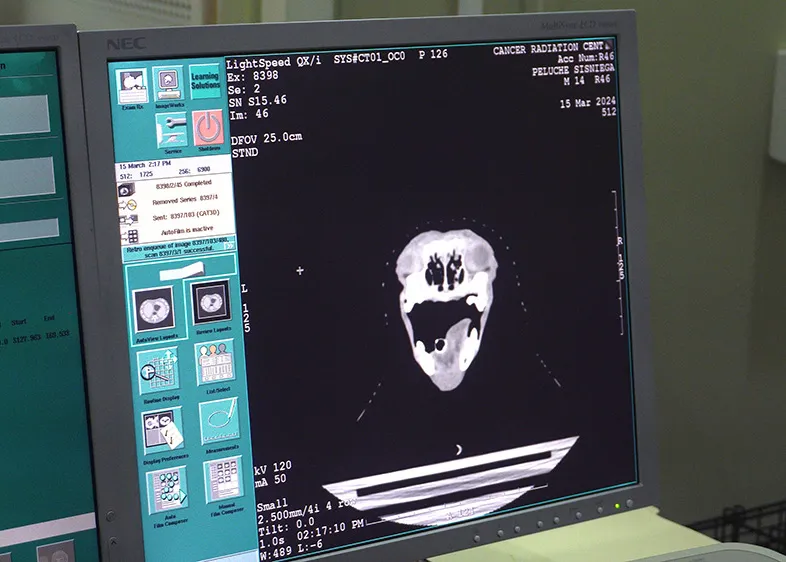 Tomografía-veterinaria-clinica-oncologica-veterinaria-guadalajara-2-5x7