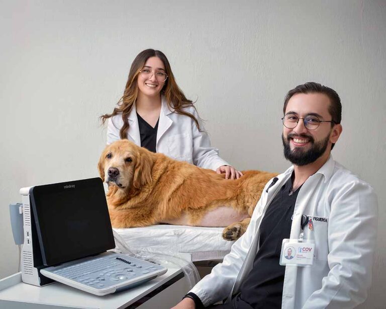 Consulta oncológica veterinaria. diagnósticos cáncer en perros y gatos.
